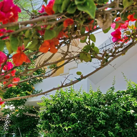 Welcome To Our Baia * Gallipoli