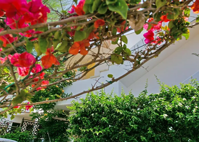 Welcome To Our Baia * Gallipoli